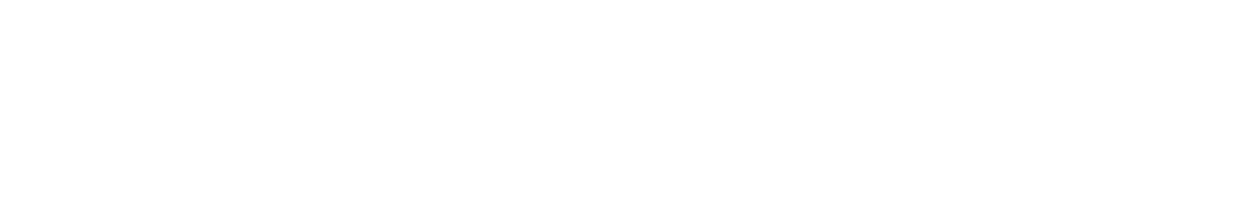 Churchill Logo White